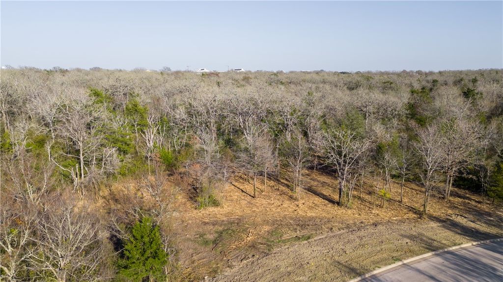 3325 Stephans Crossing, Bryan, TX 77807 — photo 3