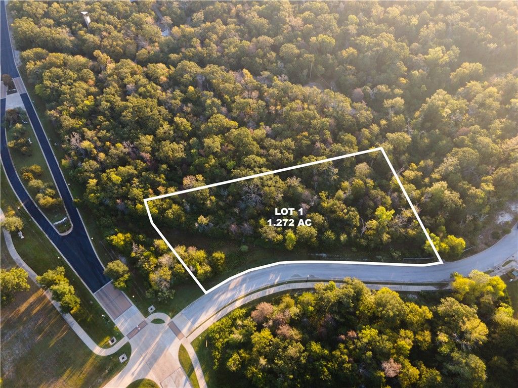 3325 Stephans Crossing, Bryan, TX 77807 — photo 5