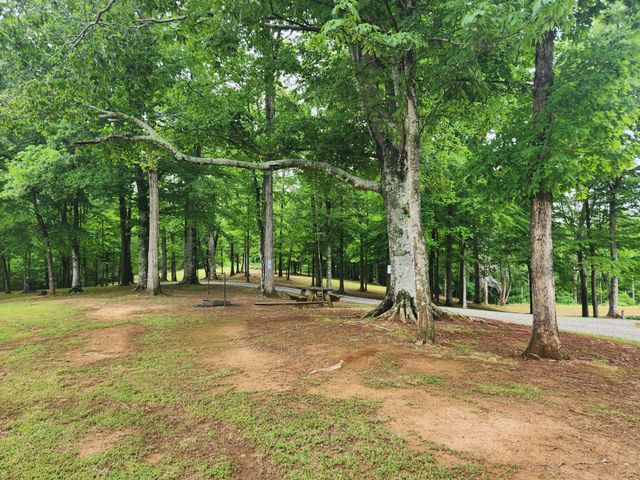 499 County Road 740, Riceville, TN 37370