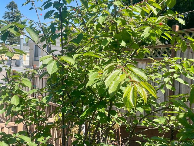 2031 9th Avenue, San Francisco, CA 94116