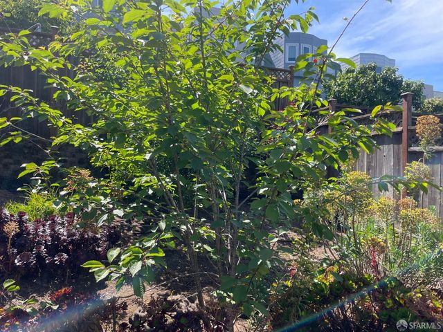 2031 9th Avenue, San Francisco, CA 94116