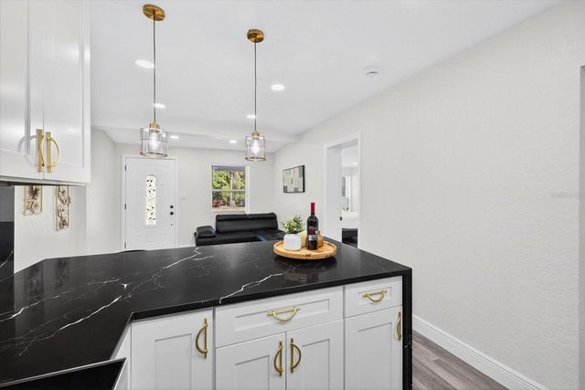 1513 E SLIGH AVENUE, Tampa, FL 33610