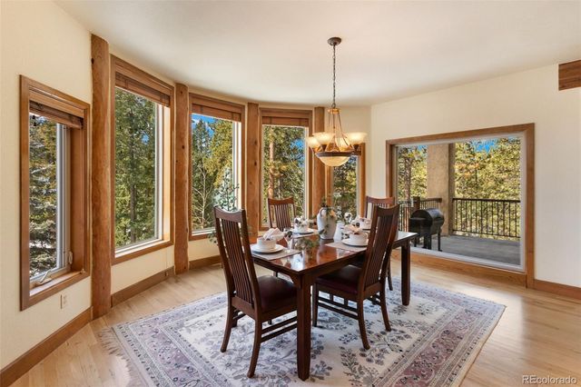 775 Skyline Drive, Woodland Park, CO 80863