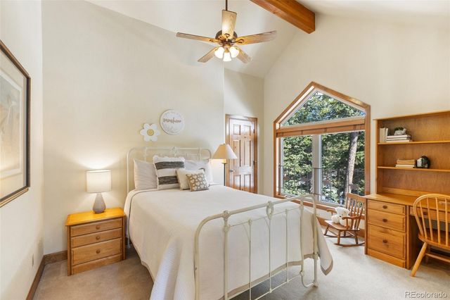775 Skyline Drive, Woodland Park, CO 80863