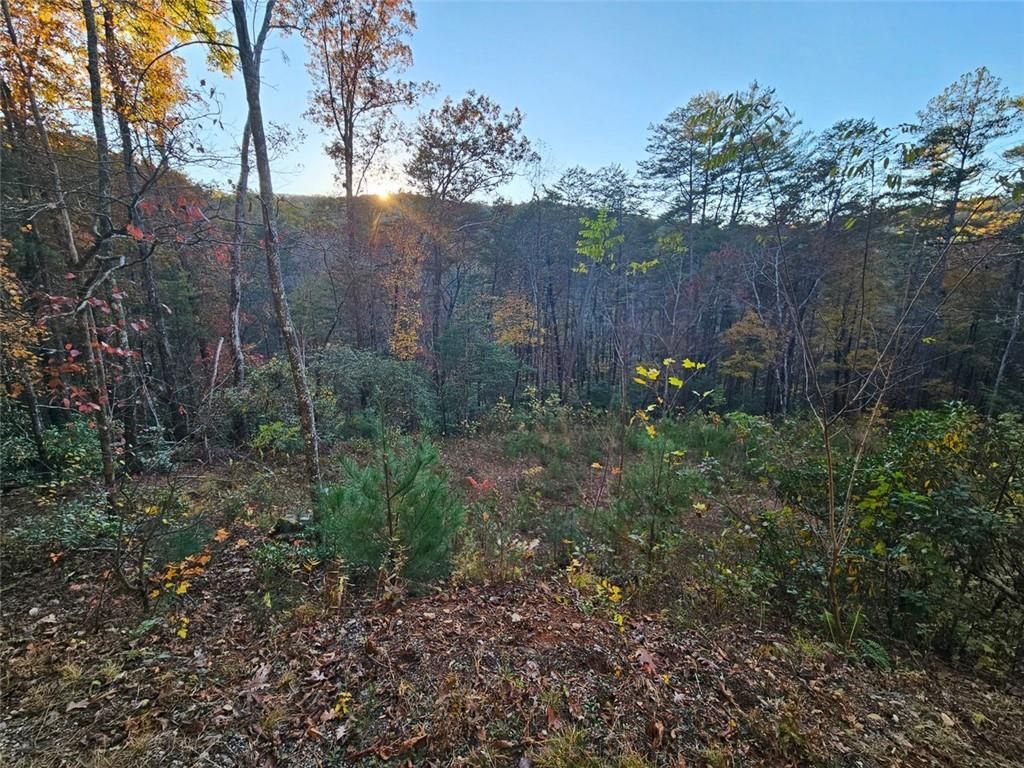 84 Spiva Cove Mtn. Trail, Blairsville, GA 30512