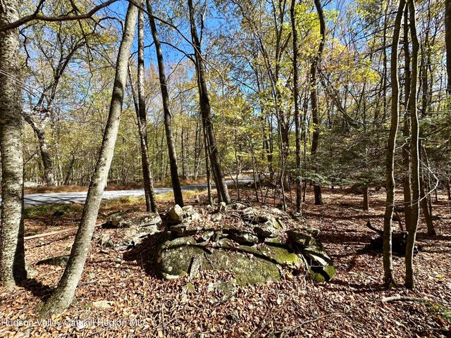 Tbd Aldrich Road, Wurtsboro, NY 12790