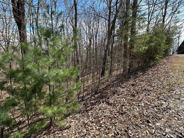Lt29 Wilderness Creek Way, Murphy, NC 28906