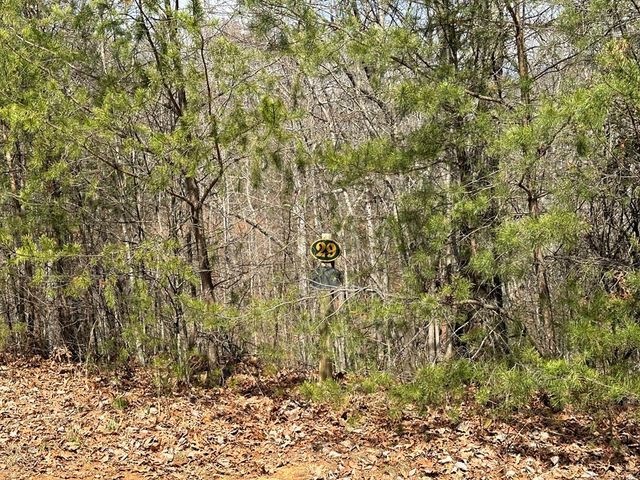 Lt29 Wilderness Creek Way, Murphy, NC 28906