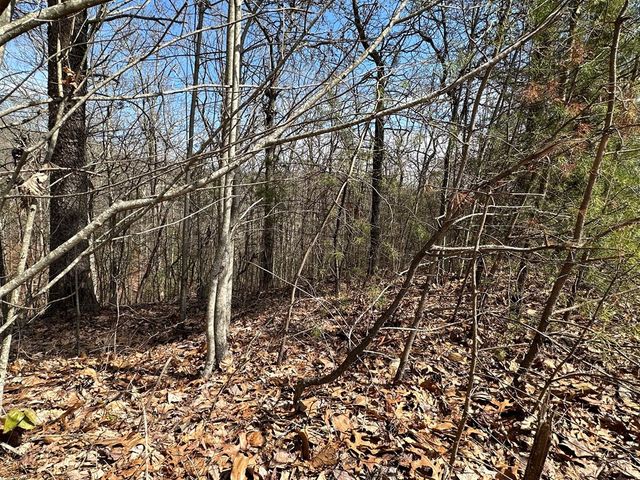 Lt29 Wilderness Creek Way, Murphy, NC 28906