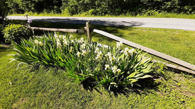 2563 VT Rt 155, Mount Holly, VT 05758