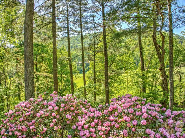 200 Robinhood Road, Asheville, NC 28804