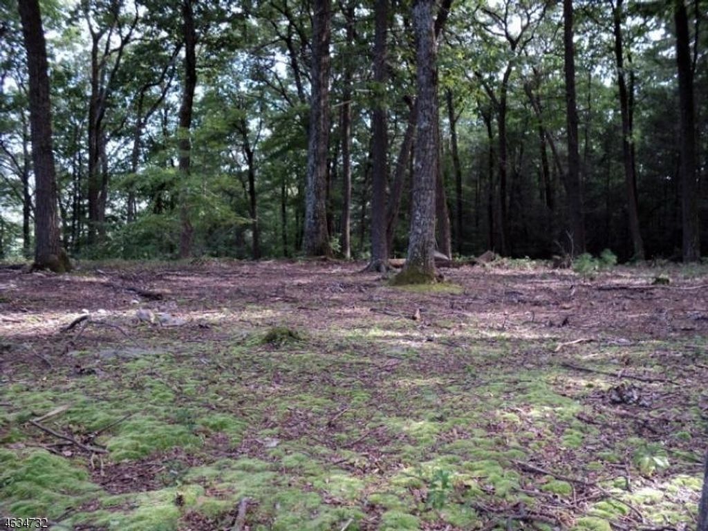 0 Shady Lane, West Milford Twp., NJ 07480 — photo 4