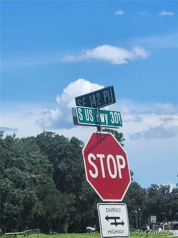 Corner SE 142ND PLACE & S US HWY-301, Summerfield, FL 34491