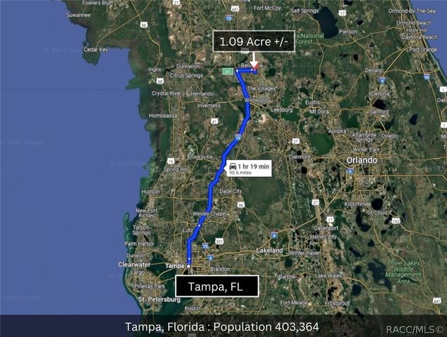 Corner SE 142ND PLACE & S US HWY-301, Summerfield, FL 34491
