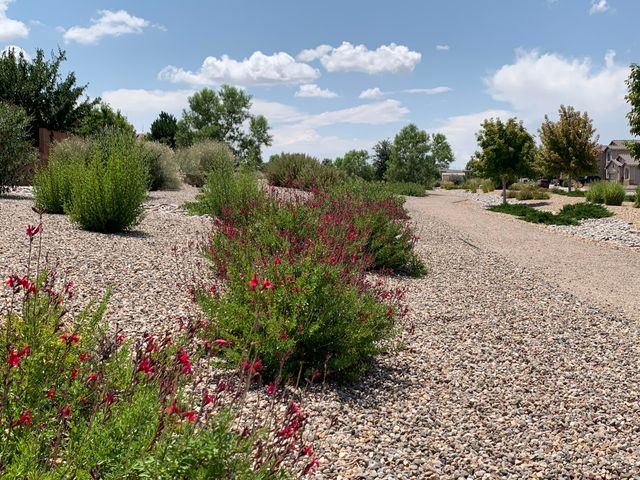 8305 Mesa Top Road NW, Albuquerque, NM 87120