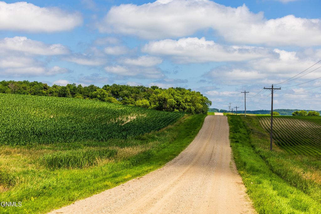 Tbd 370th Street, Erhard, MN 56534 photo 10