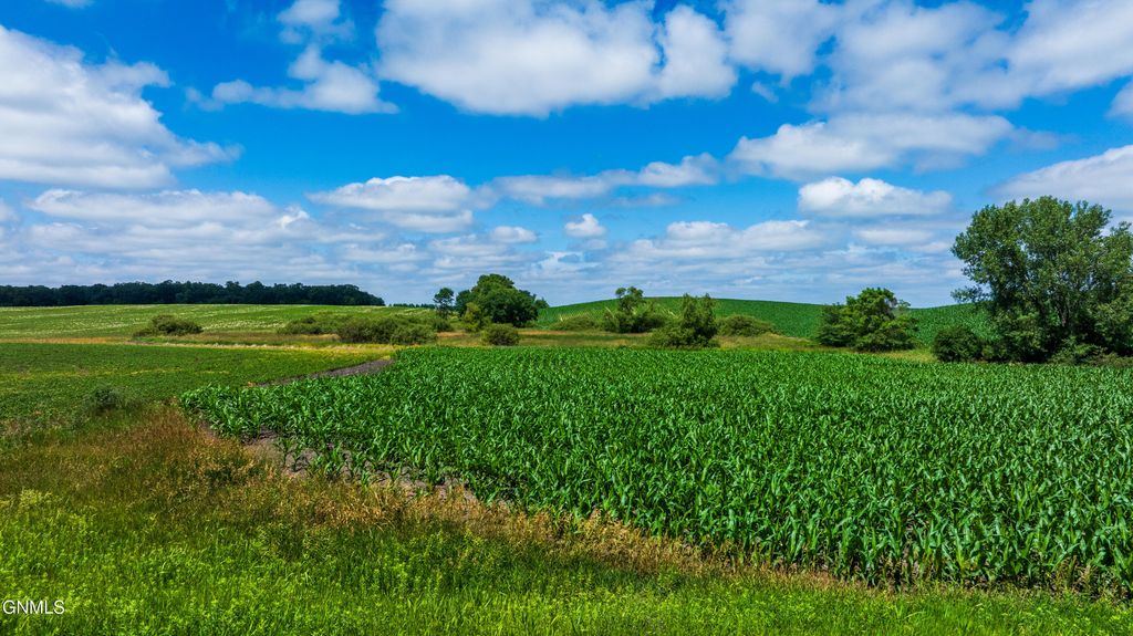 Tbd 370th Street, Erhard, MN 56534 photo 11