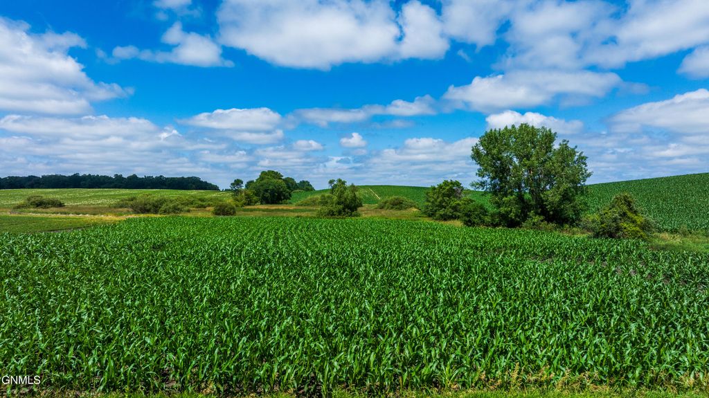 Tbd 370th Street, Erhard, MN 56534 photo 12