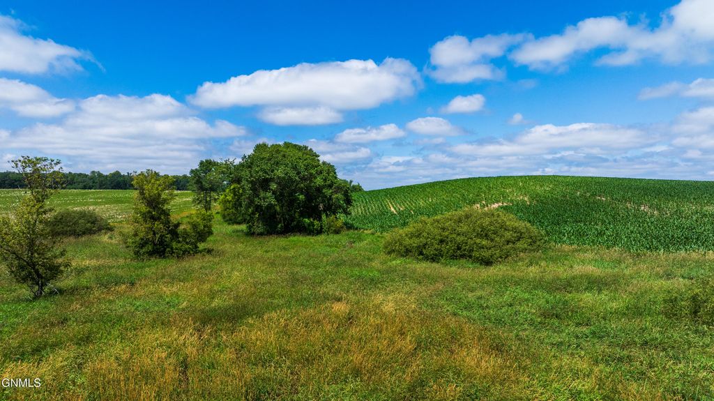 Tbd 370th Street, Erhard, MN 56534 photo 13