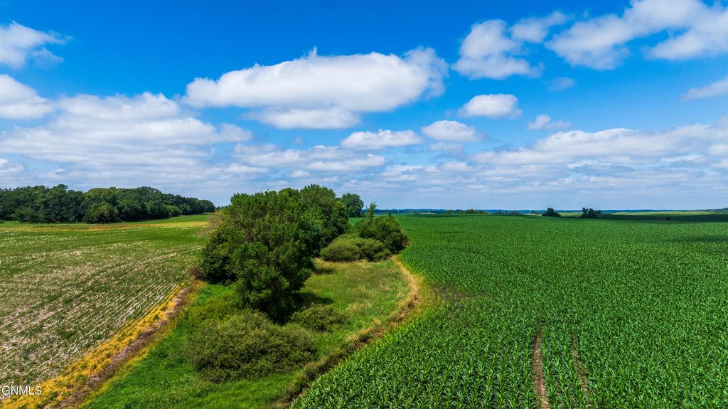 Tbd 370th Street, Erhard, MN 56534 photo 14