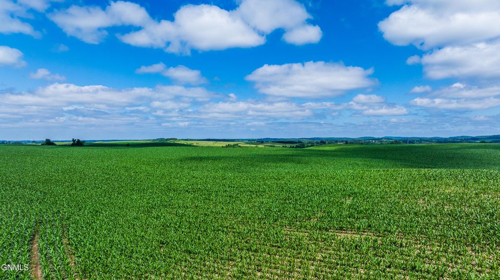 Tbd 370th Street, Erhard, MN 56534 photo 15