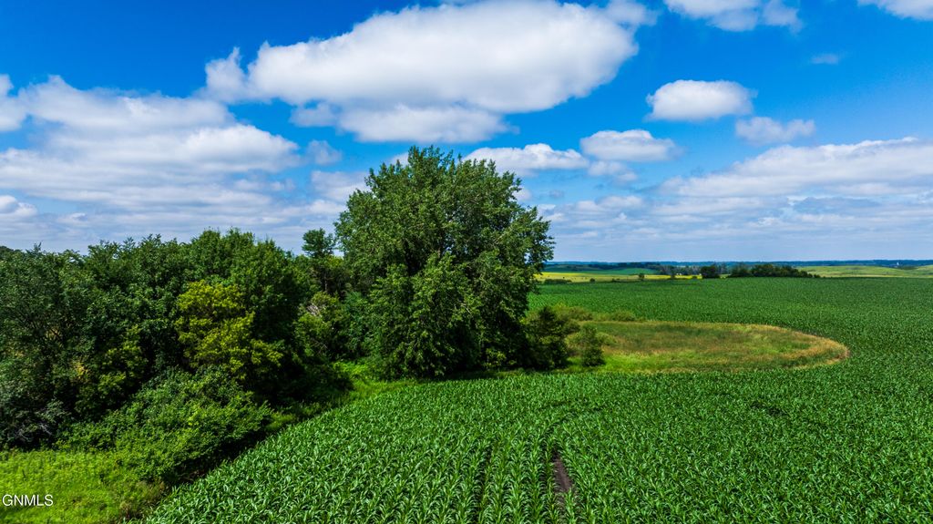 Tbd 370th Street, Erhard, MN 56534 photo 17