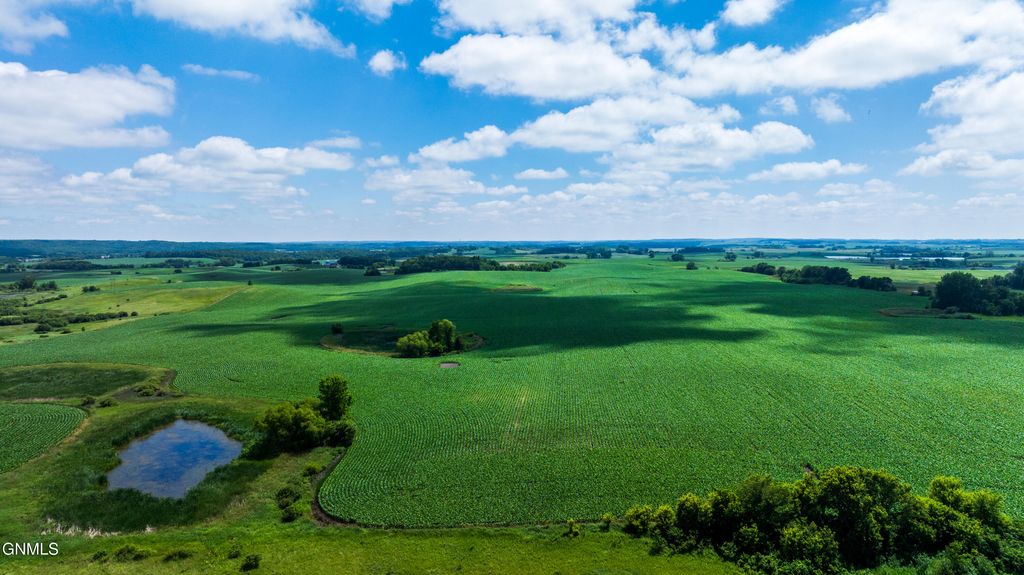 Tbd 370th Street, Erhard, MN 56534 photo 18