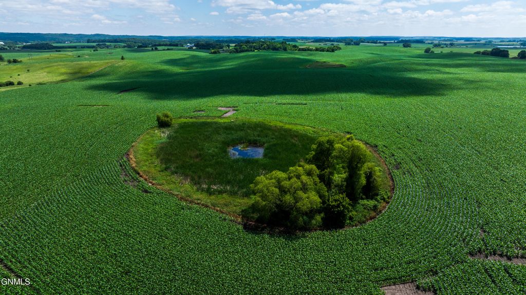 Tbd 370th Street, Erhard, MN 56534 photo 19