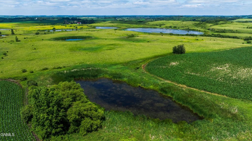 Tbd 370th Street, Erhard, MN 56534 photo 21