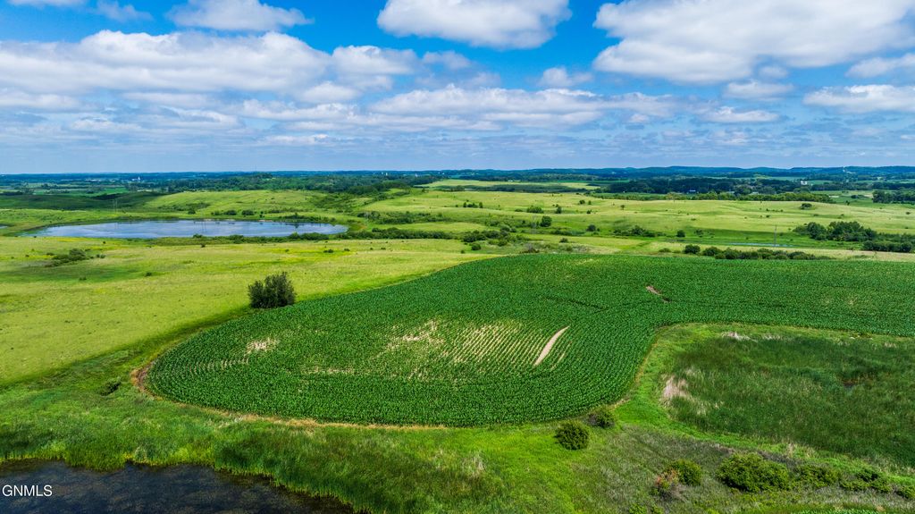 Tbd 370th Street, Erhard, MN 56534 photo 23