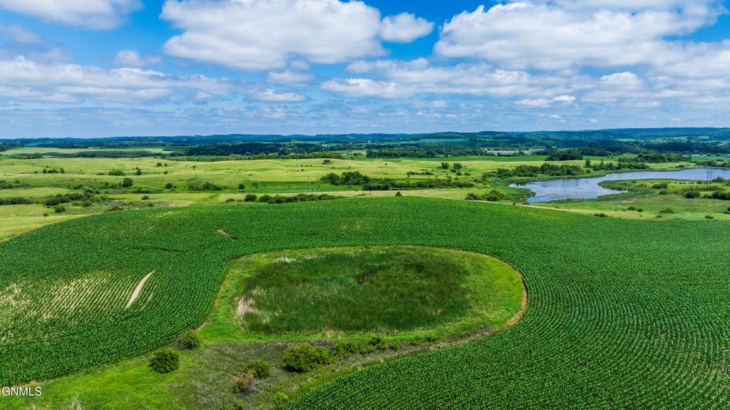 Tbd 370th Street, Erhard, MN 56534 photo 24