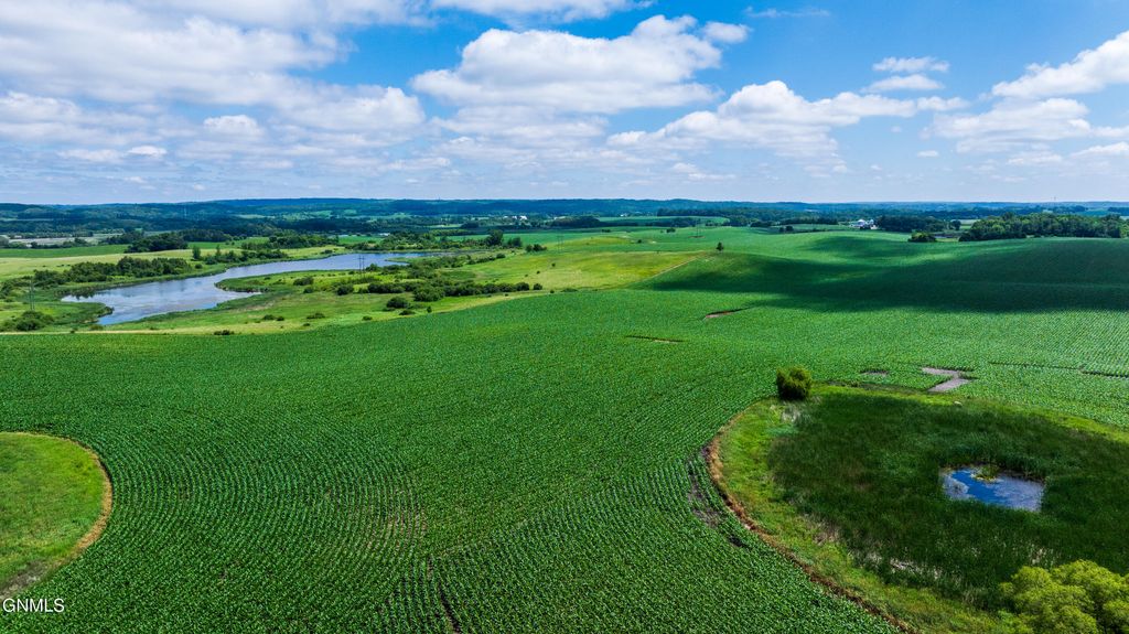 Tbd 370th Street, Erhard, MN 56534 photo 25