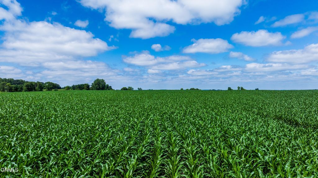 Tbd 370th Street, Erhard, MN 56534 photo 28