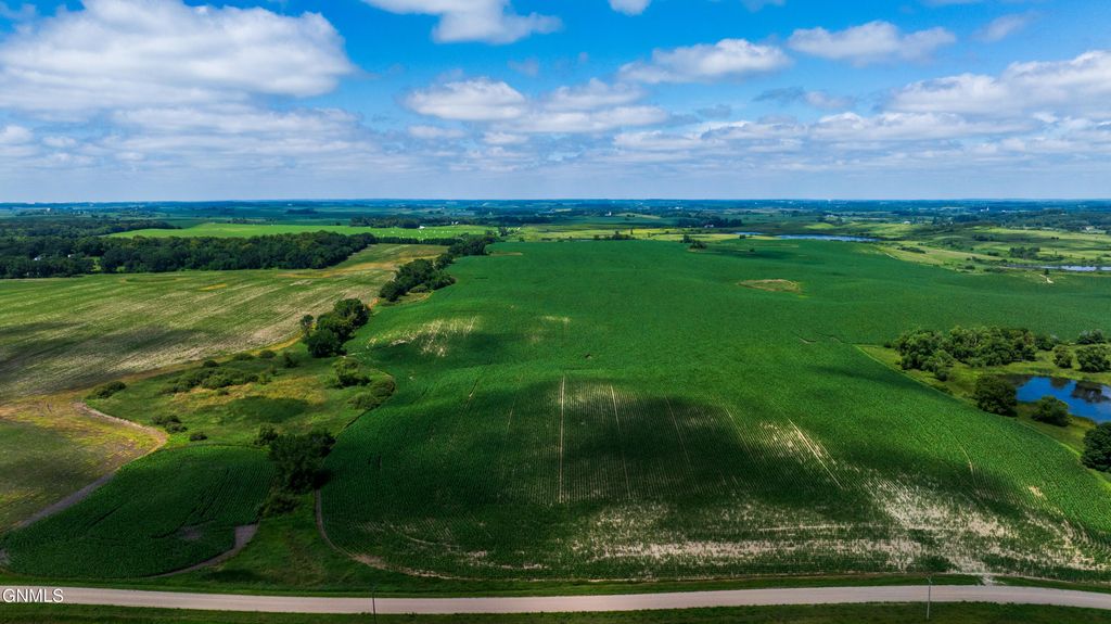 Tbd 370th Street, Erhard, MN 56534 photo 29