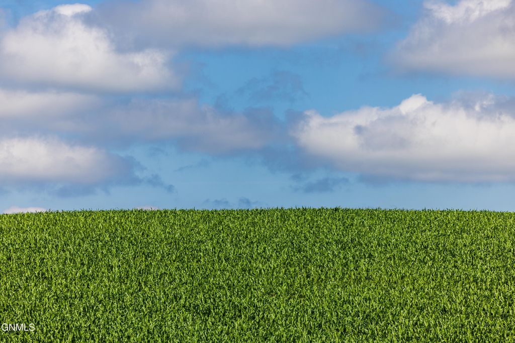 Tbd 370th Street, Erhard, MN 56534 photo 3