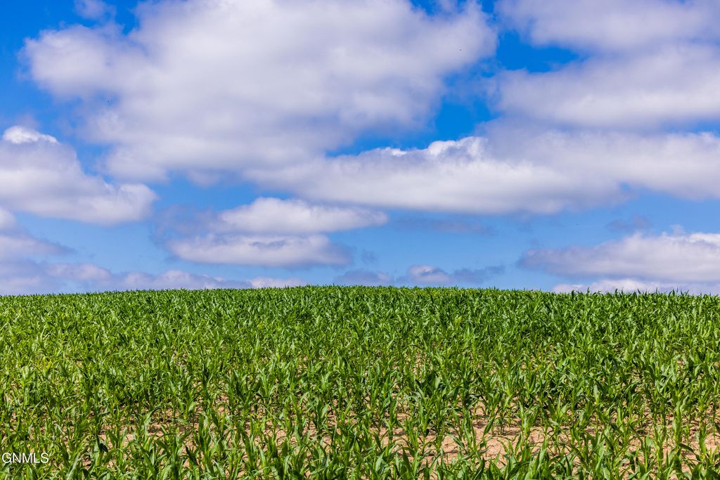 Tbd 370th Street, Erhard, MN 56534 photo 39
