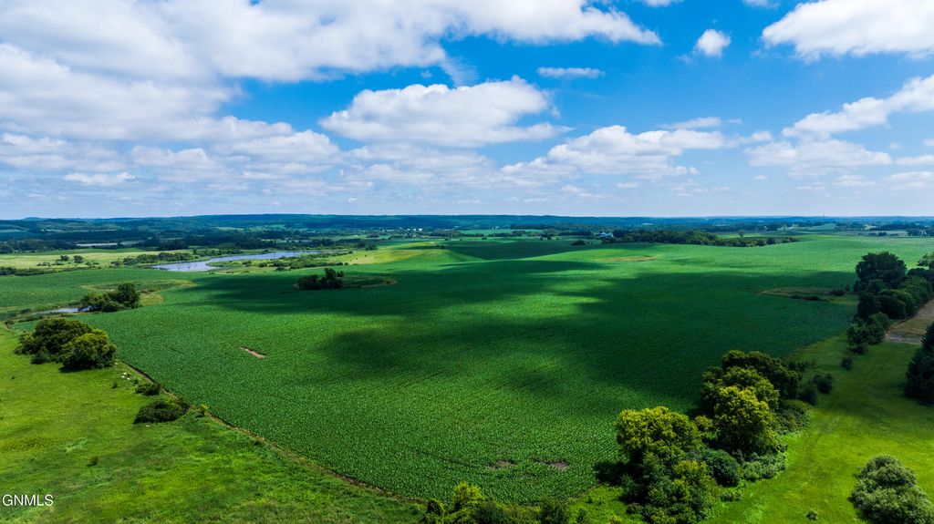 Tbd 370th Street, Erhard, MN 56534 photo 4