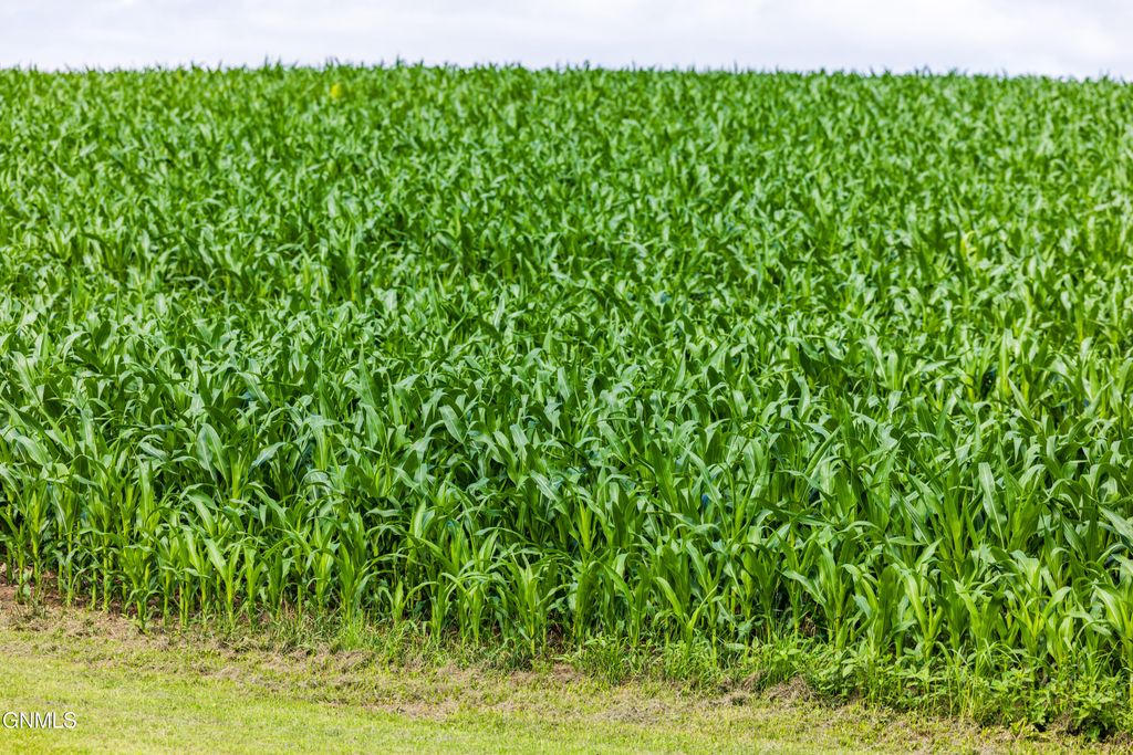 Tbd 370th Street, Erhard, MN 56534 photo 40