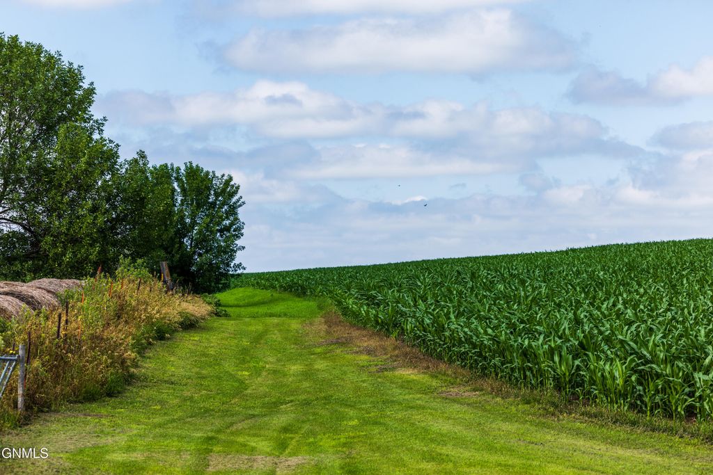 Tbd 370th Street, Erhard, MN 56534 photo 41