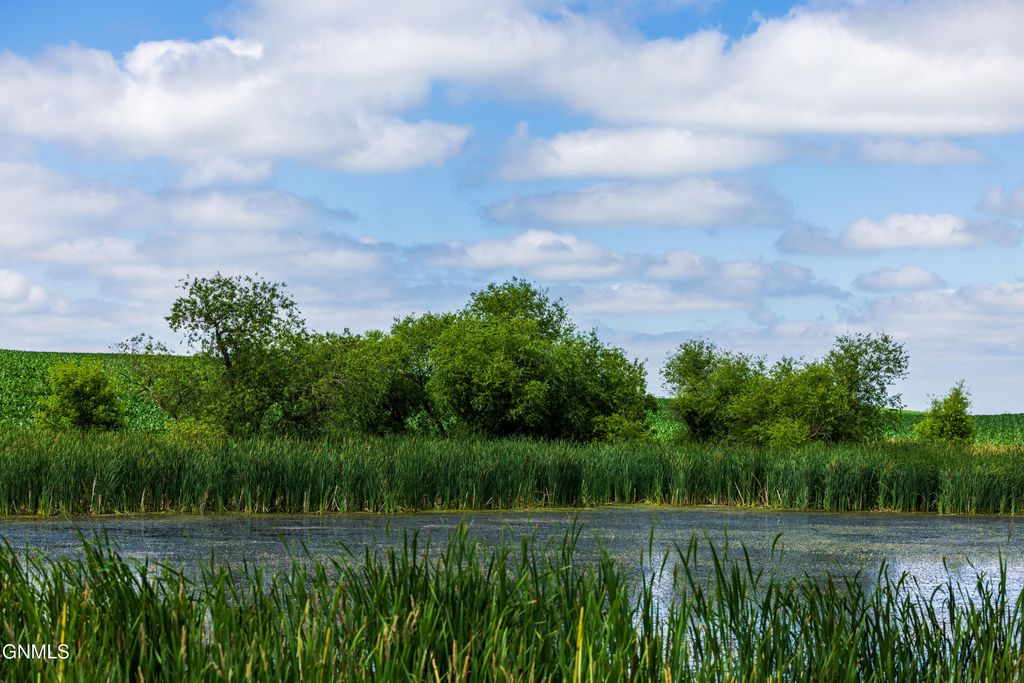 Tbd 370th Street, Erhard, MN 56534 photo 42