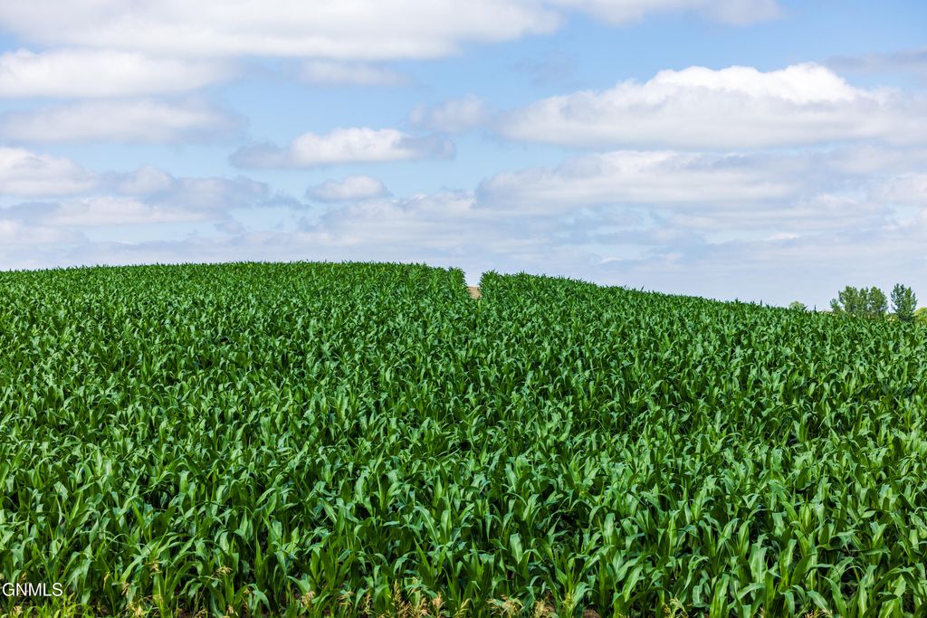 Tbd 370th Street, Erhard, MN 56534 photo 43