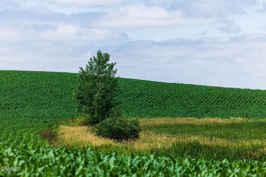 Tbd 370th Street, Erhard, MN 56534 photo 45