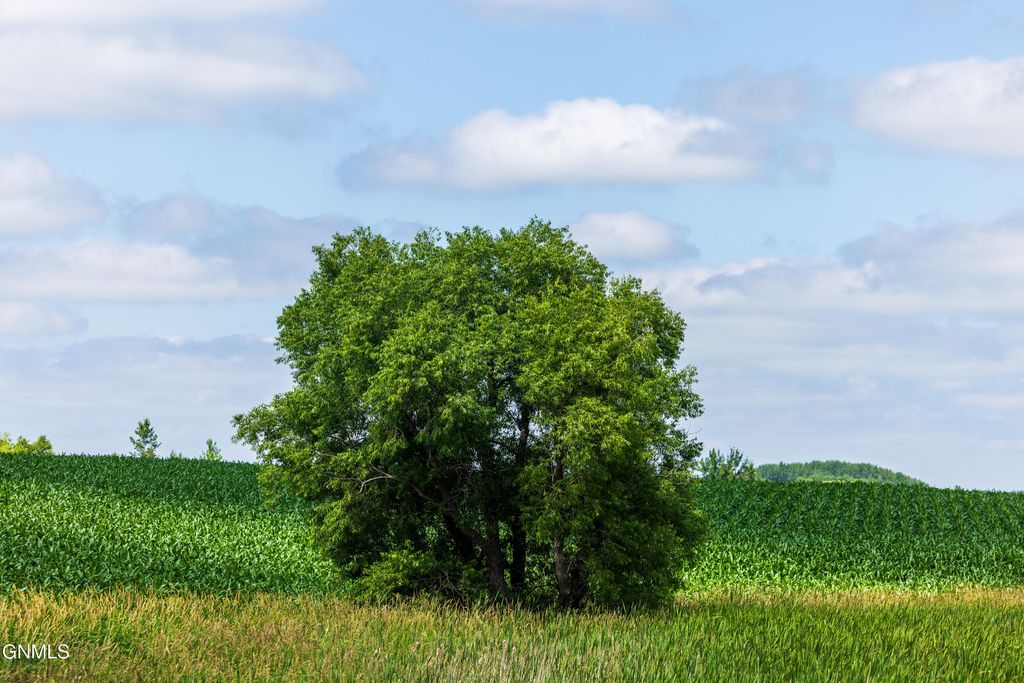Tbd 370th Street, Erhard, MN 56534 photo 46