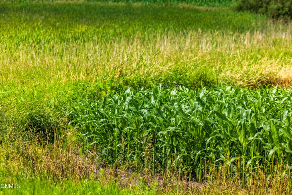 Tbd 370th Street, Erhard, MN 56534 photo 47