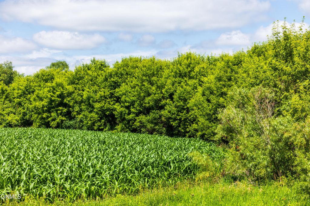Tbd 370th Street, Erhard, MN 56534 photo 48