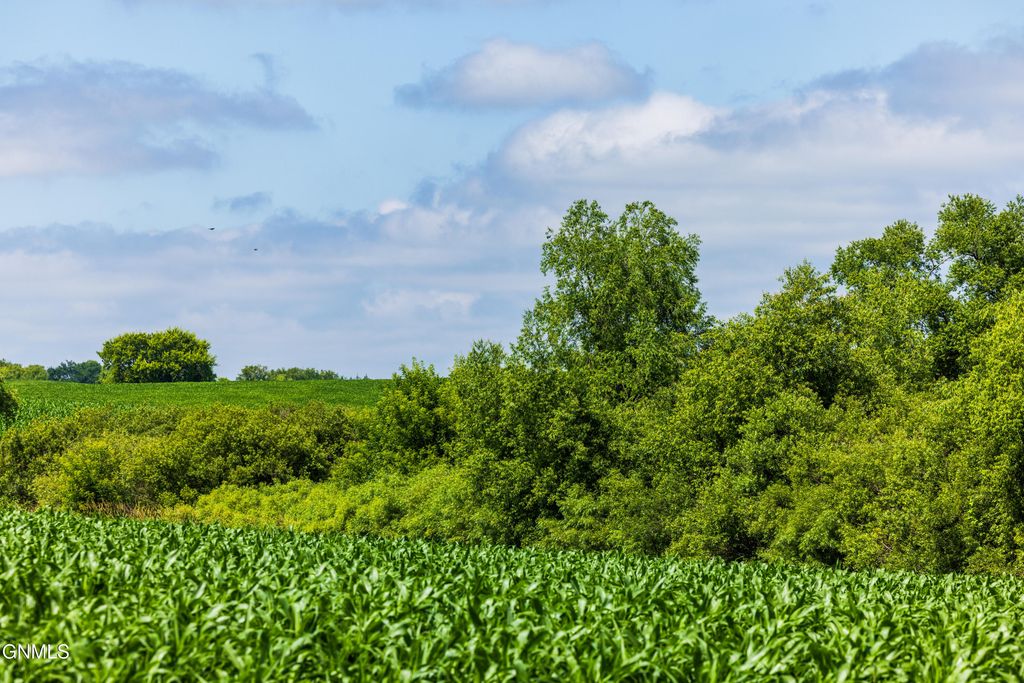 Tbd 370th Street, Erhard, MN 56534 photo 49