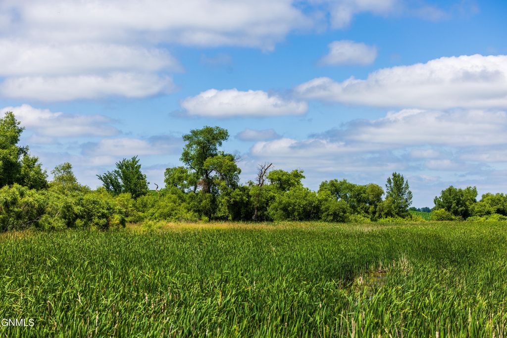 Tbd 370th Street, Erhard, MN 56534 photo 50