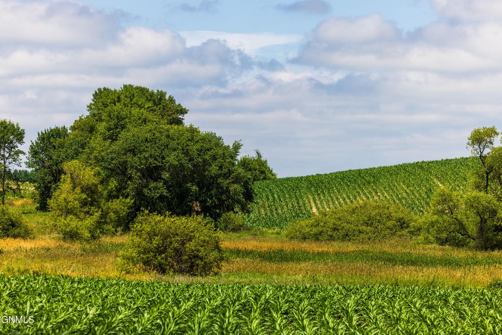 Tbd 370th Street, Erhard, MN 56534 photo 6