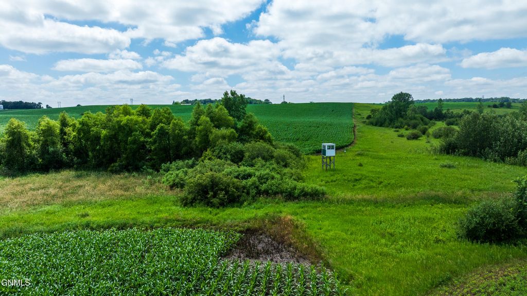 Tbd 370th Street, Erhard, MN 56534 photo 60