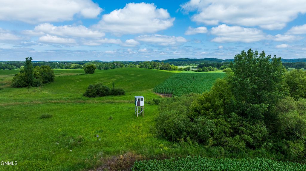 Tbd 370th Street, Erhard, MN 56534 photo 61